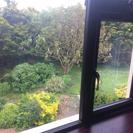 Abrae House Guest House Rosslare Harbour Exteriör bild