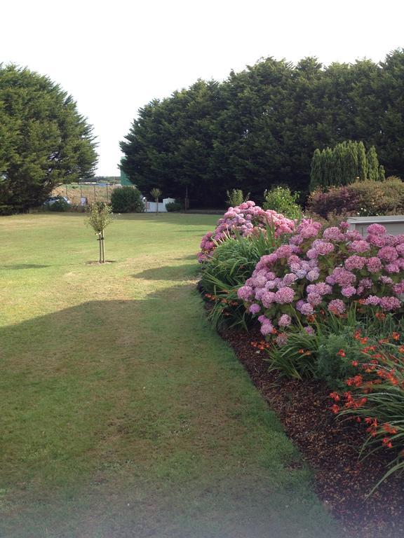 Abrae House Guest House Rosslare Harbour Rum bild